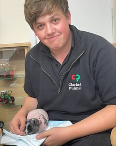 Clarke & Pulman Bob the Skinny Pig